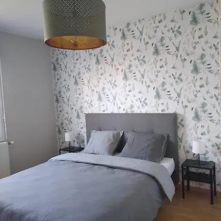 Apartment Rare Centre Magnifique 3 Pieces Proche Gare