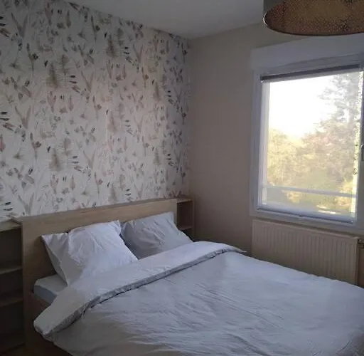 Apartment Rare Centre Magnifique 3 Pieces Proche Gare